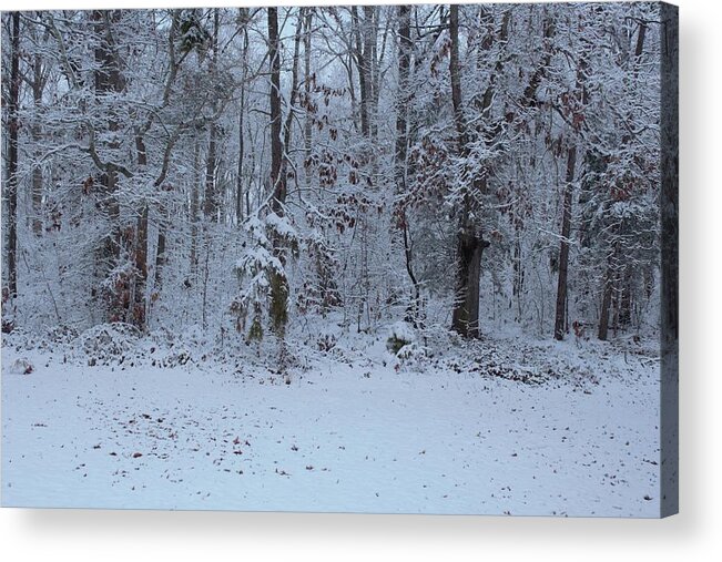 Snow Acrylic Print featuring the photograph Snow Pixelation by Ali Baucom