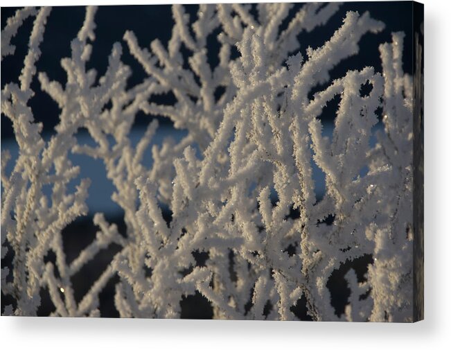  Acrylic Print featuring the photograph Snow Scean 4 by Phyllis Spoor
