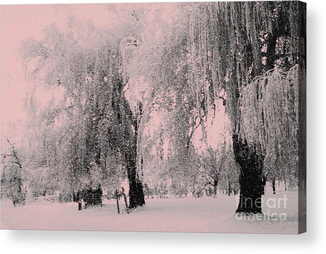 Snowy Sunday Acrylic Print featuring the photograph Snowing again by Julie Lueders 