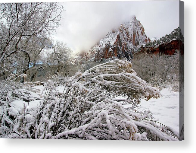 Zion Acrylic Print featuring the photograph Snowy Mountains in Zion by Daniel Woodrum