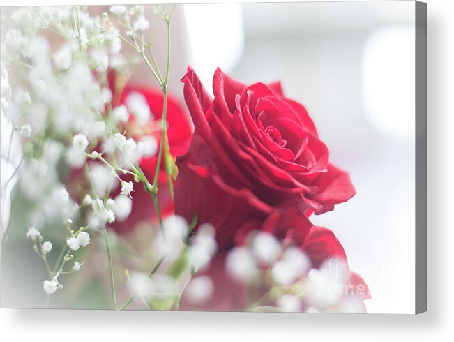 Cheryl Baxter Photography Acrylic Print featuring the photograph Soft, Romantic, Red Rose by Cheryl Baxter