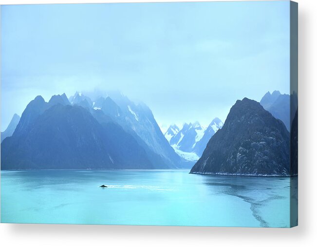 Humpback At Glacier Bay Acrylic Print featuring the photograph Sojourn by John Poon