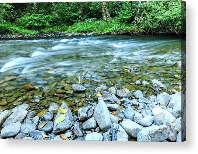 Stream Acrylic Print featuring the photograph Sol Duc River in Summer by Kyle Lee