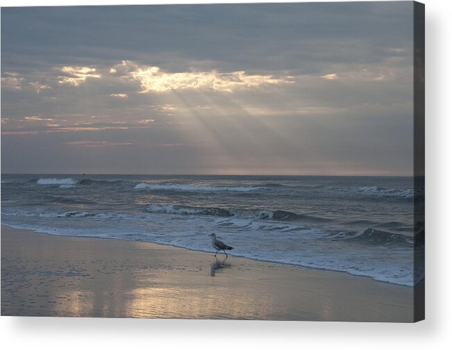 Solitude Acrylic Print featuring the photograph Solitude by Bill Cannon