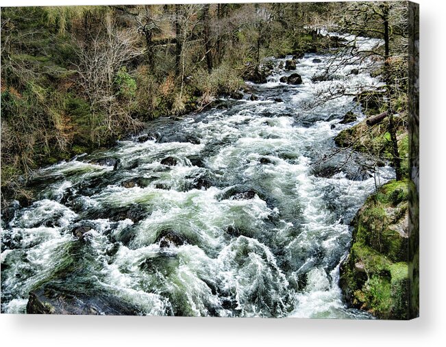 Stream Acrylic Print featuring the photograph Song of Stream by Christopher Maxum