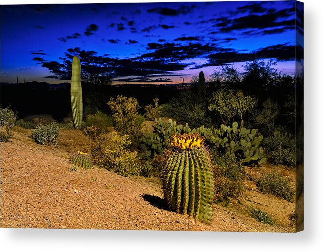 Cactus Acrylic Print featuring the photograph Sonoran Twilight by Mark Myhaver