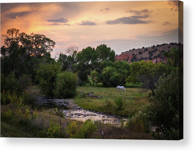 National Parks Acrylic Print featuring the photograph South Dakota by Aileen Savage