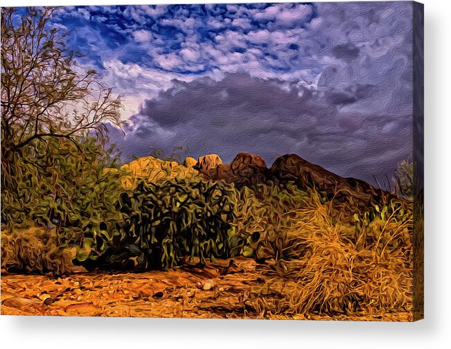 Acrylic Prints Acrylic Print featuring the photograph Southwest Salad No.3 by Mark Myhaver