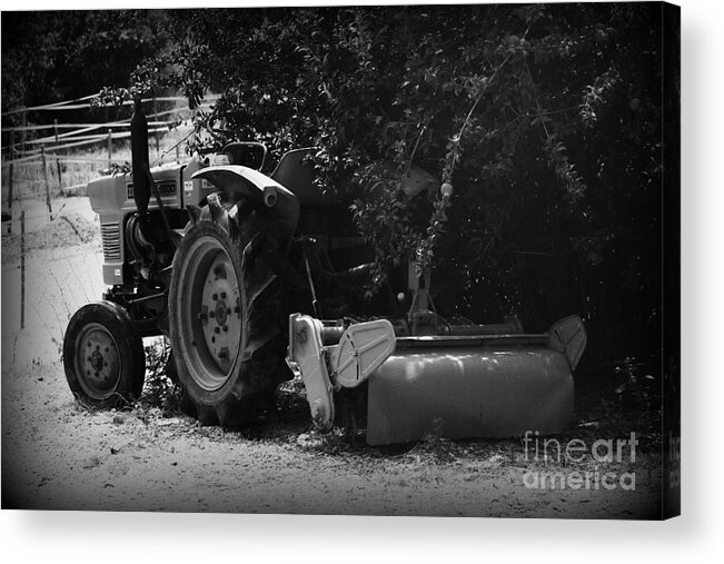 Tractor Acrylic Print featuring the photograph Spanish Farming by Clare Bevan