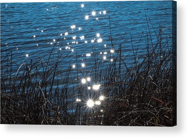 Riverbend Ponds Acrylic Print featuring the photograph Sparkles at Riverbend Ponds by Monte Stevens