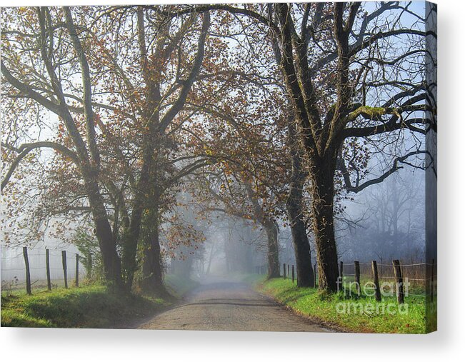 Sparks Lane Acrylic Print featuring the photograph Sparks Lane Early Morning by Jennifer Ludlum
