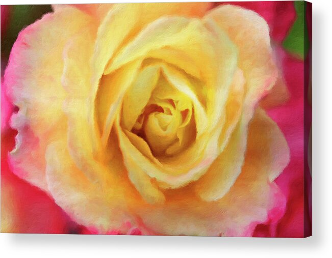 Connie Handscomb Acrylic Print featuring the photograph Speak To Me Of Roses by Connie Handscomb