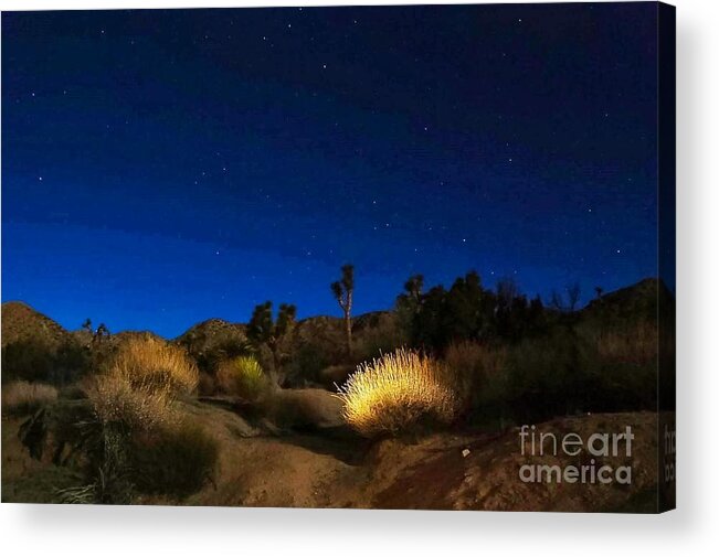 Desert Moon Acrylic Print featuring the photograph SPeciaL GLoW by Angela J Wright