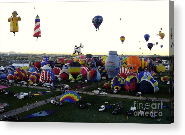 Hot Air Balloons Acrylic Print featuring the photograph Special Shapes by Mary Rogers