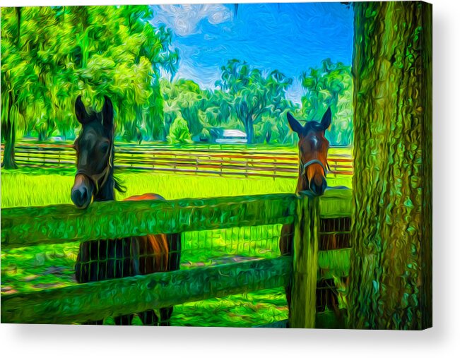 Spring Colts # Ocala Fl # Northern Florida # Florida # Horse Farms # Horse Country # Marion County # Acrylic Print featuring the painting Spring colts by Louis Ferreira