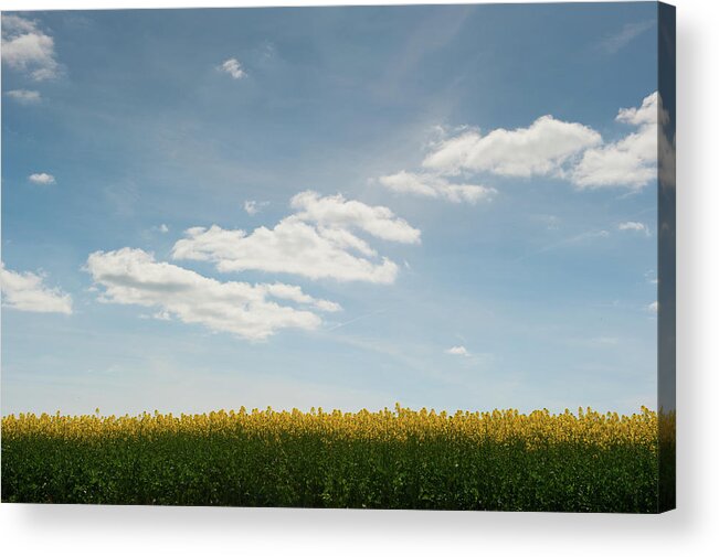 Helen Northcott Acrylic Print featuring the photograph Spring Day Clouds by Helen Jackson