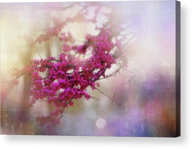 Nature Acrylic Print featuring the photograph Spring Dreams II by Toni Hopper