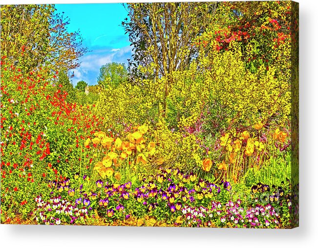 Springtime Delight Acrylic Print featuring the photograph Spring Flowers by Edita De Lima