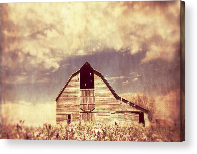 Barn Acrylic Print featuring the photograph Spring in Kansas by Julie Hamilton