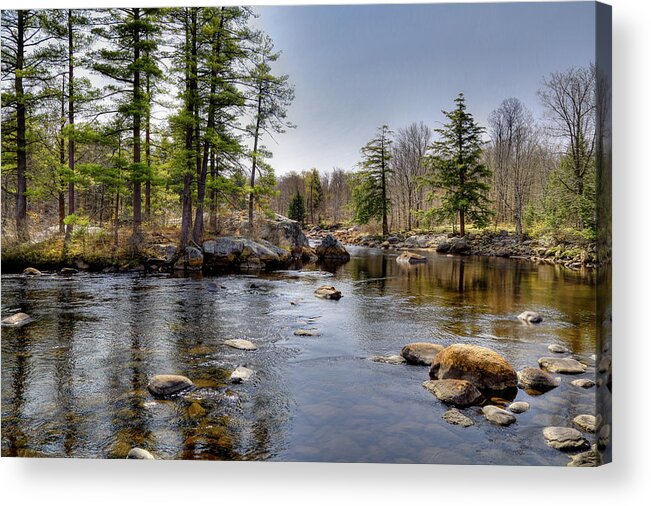 Spring Near Moose River Road Acrylic Print featuring the photograph Spring Near Moose River Road by David Patterson