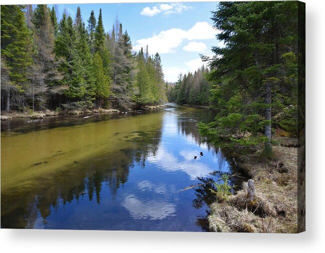 Jordan River Acrylic Print featuring the photograph Spring on the Jordan River by Kathryn Lund Johnson