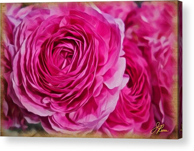 Pink Roses Acrylic Print featuring the painting Spring Pink Roses by Joan Reese