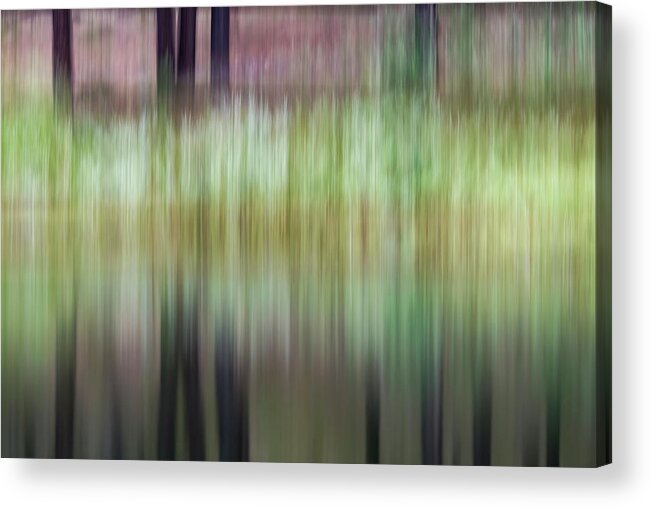 Nature Acrylic Print featuring the photograph Spring Reflections by Deborah Hughes
