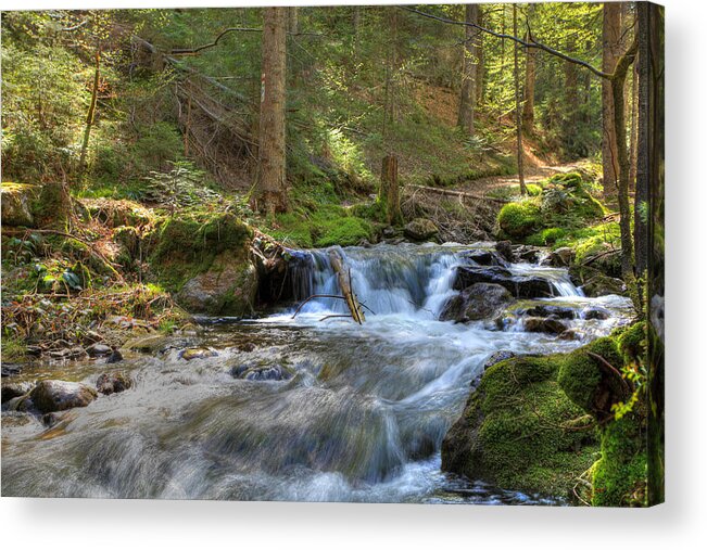 Mountain Acrylic Print featuring the photograph Spring Run Off by Sean Allen