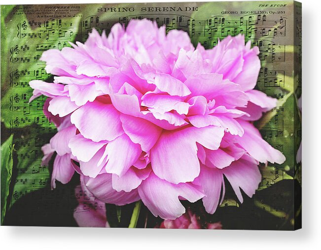 Floral Acrylic Print featuring the photograph Spring Serenade by Trina Ansel