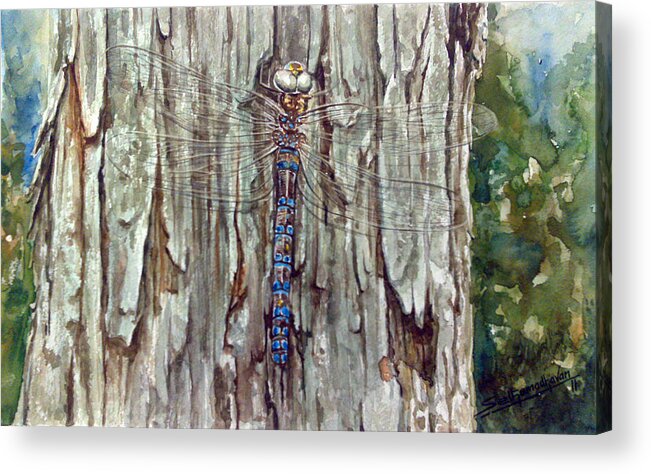 Dragonfly Acrylic Print featuring the painting Spring by Sethu Madhavan