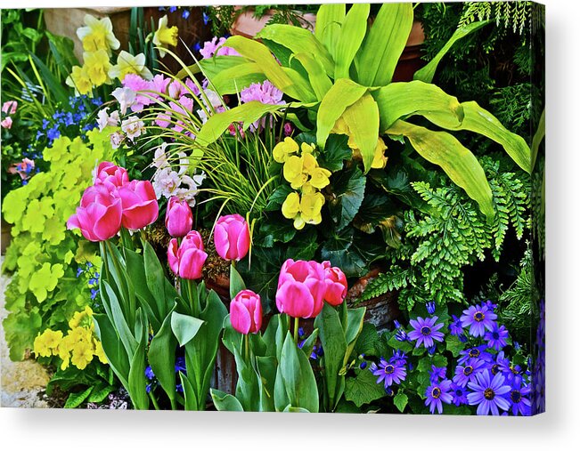 Spring Fliwers Acrylic Print featuring the photograph Spring Show 17 Happy Spring 3 by Janis Senungetuk