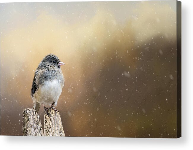 Snow Acrylic Print featuring the photograph Spring Snow by Cathy Kovarik