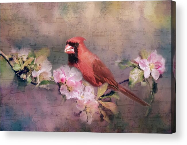 Flower Acrylic Print featuring the photograph Spring Song by Cathy Kovarik