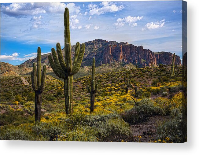 Superstitions Acrylic Print featuring the photograph Spring time at the superstitions by Dave Dilli