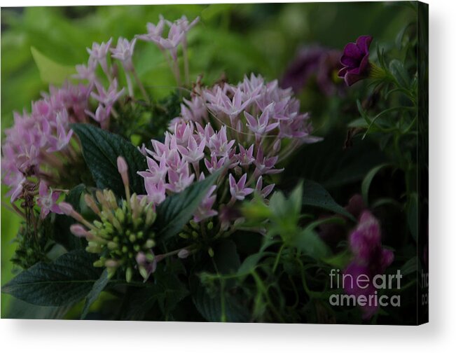 Flowers Acrylic Print featuring the photograph Spring Time Basket of Flowers by Dale Powell