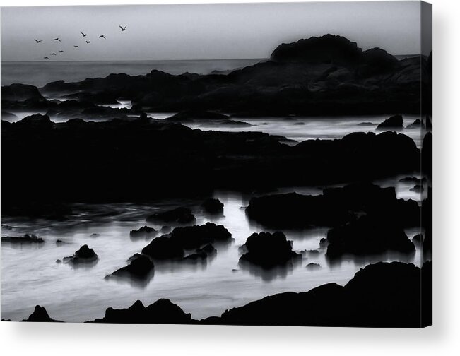 Pelicans Acrylic Print featuring the photograph Squadron of Pelicans At Dusk by Lawrence Knutsson