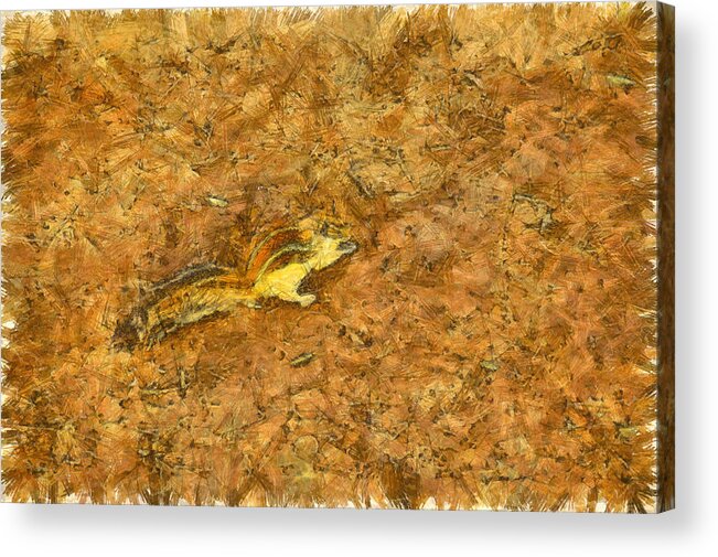 Squirrel Acrylic Print featuring the photograph Squirrel on the ground by Ashish Agarwal