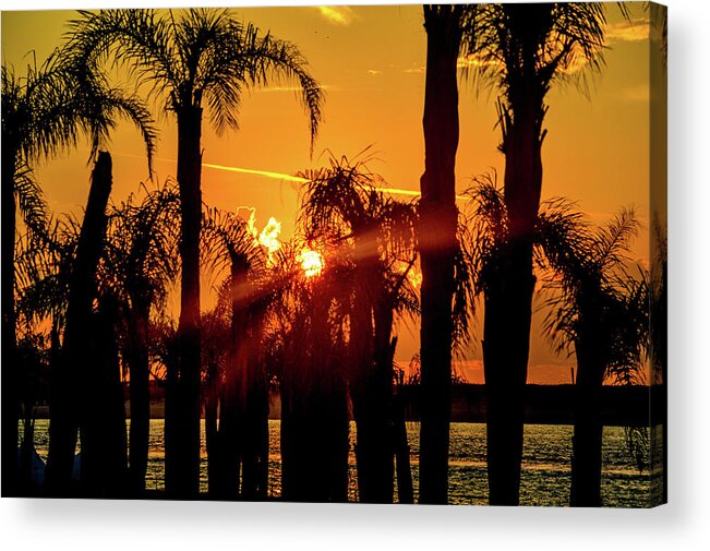 Alabama Acrylic Print featuring the photograph Stack of Palms in a Orange Sky by Michael Thomas