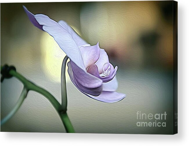 Flower Acrylic Print featuring the photograph Standing Alone in Silence by Diana Mary Sharpton