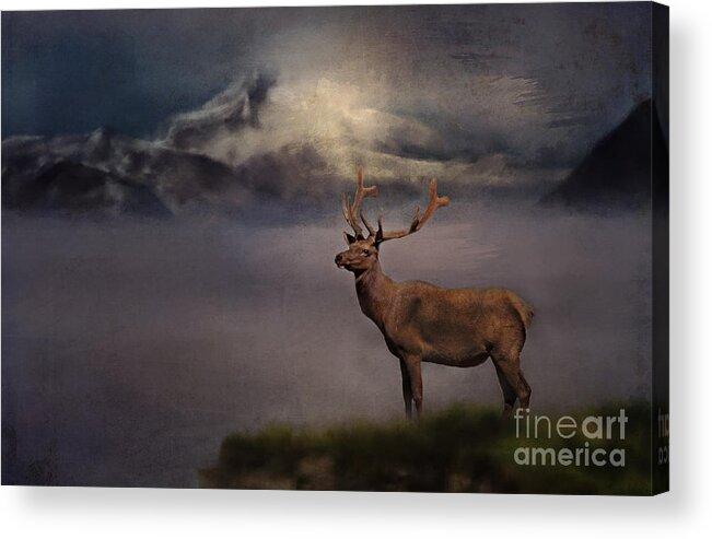 Elk Acrylic Print featuring the photograph Standing Proud by Pam Holdsworth