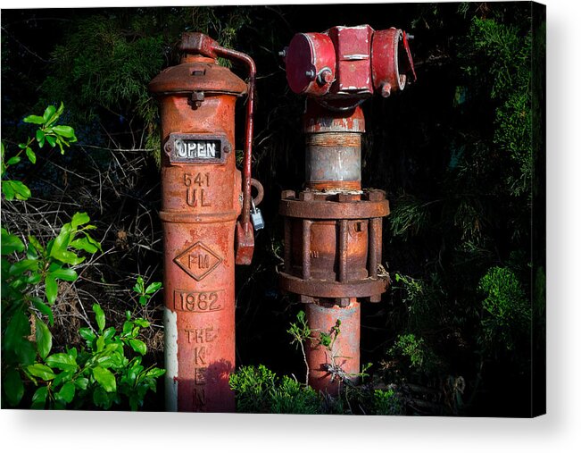 Standpipes Acrylic Print featuring the photograph Standpipes by Derek Dean