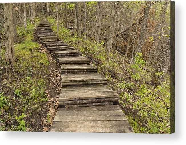 Steps Acrylic Print featuring the photograph Step Trail IN Woods 17 B by John Brueske