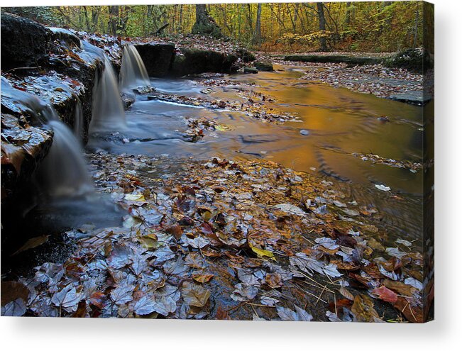 Stepstone Falls Acrylic Print featuring the photograph Stepstone Falls in Rhode Island by Juergen Roth