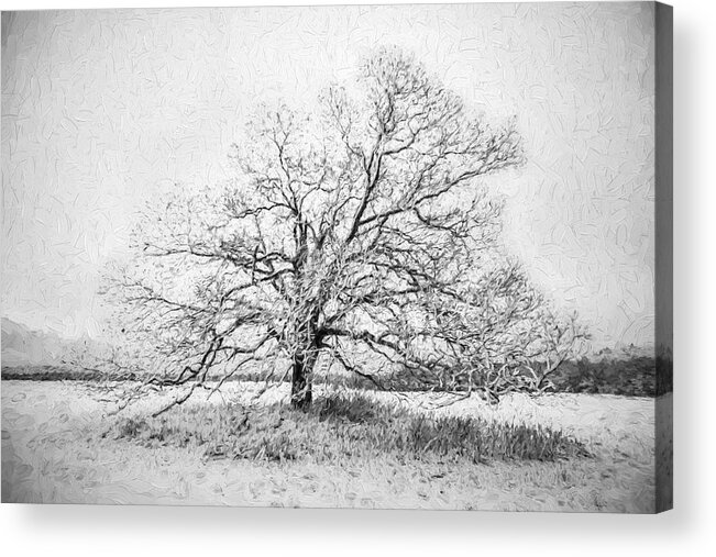 B&w Acrylic Print featuring the painting Still Alone by David Letts