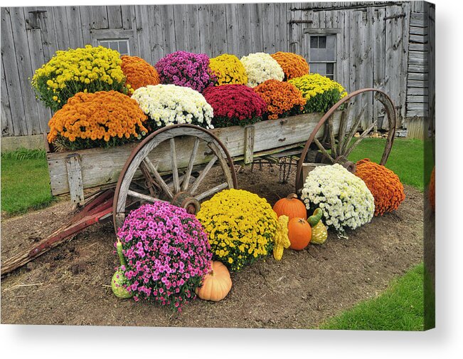 Autumn Acrylic Print featuring the photograph Autumn Display by Dan Myers