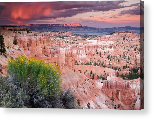 Utah Acrylic Print featuring the photograph Storm over Bryce Canyon by Eric Foltz