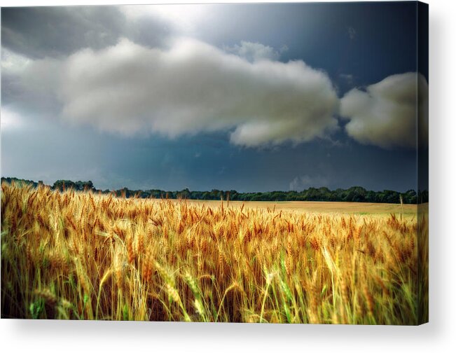 Landscape Acrylic Print featuring the photograph Storm Over Ripening Wheat by Eric Benjamin