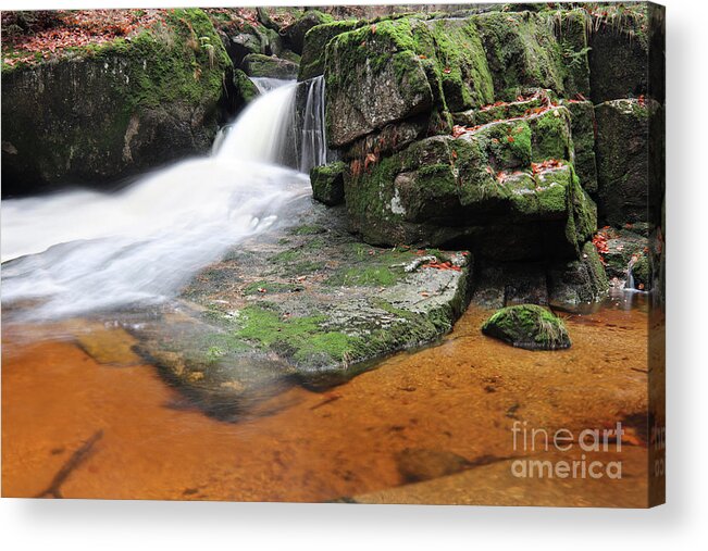 Stream Acrylic Print featuring the photograph Stream in the autumn forest by Michal Boubin