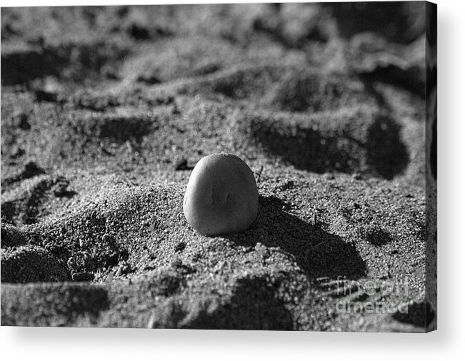 Black And White Photography Acrylic Print featuring the photograph Strength and Shadows by Leah McPhail