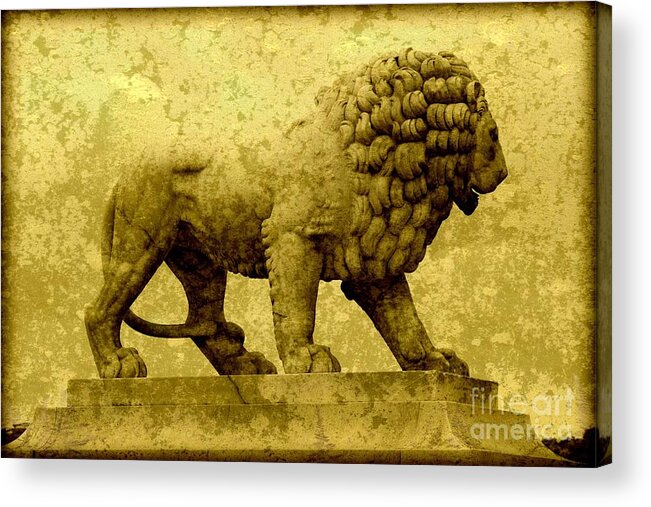 Lion Acrylic Print featuring the photograph Strength by Carol Groenen